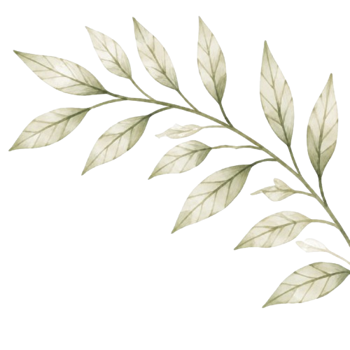 Decoração