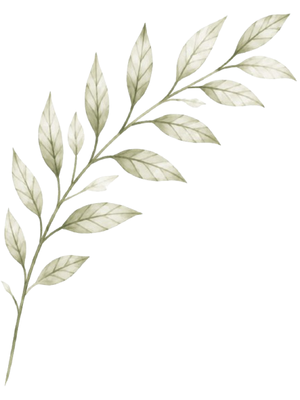 Decoração