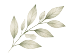 Folha decorativa