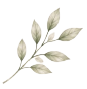 Folha decorativa