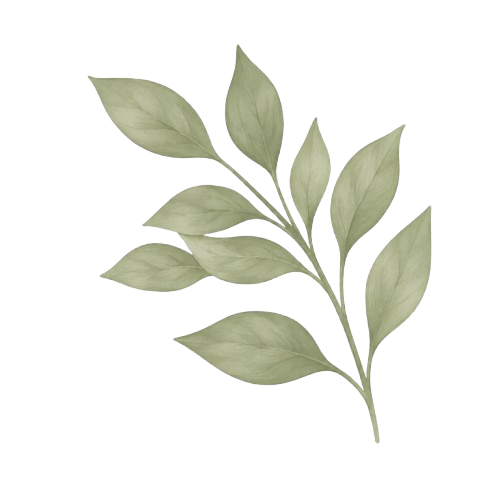 Folha decorativa