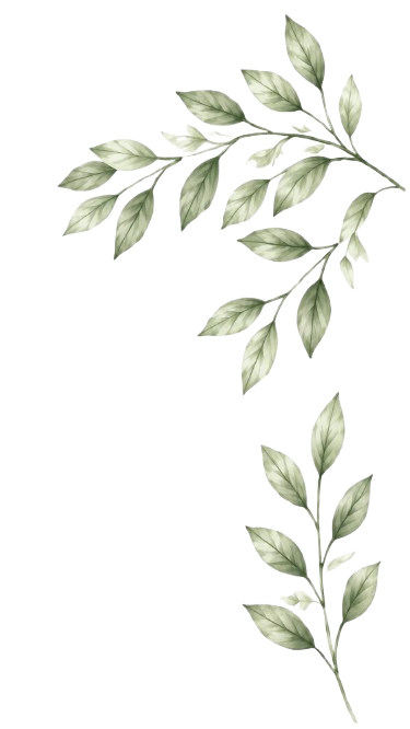Folha decorativa