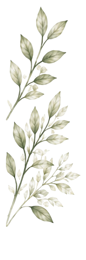 Folha decorativa
