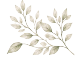 Folha decorativa