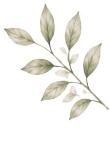 Folha decorativa